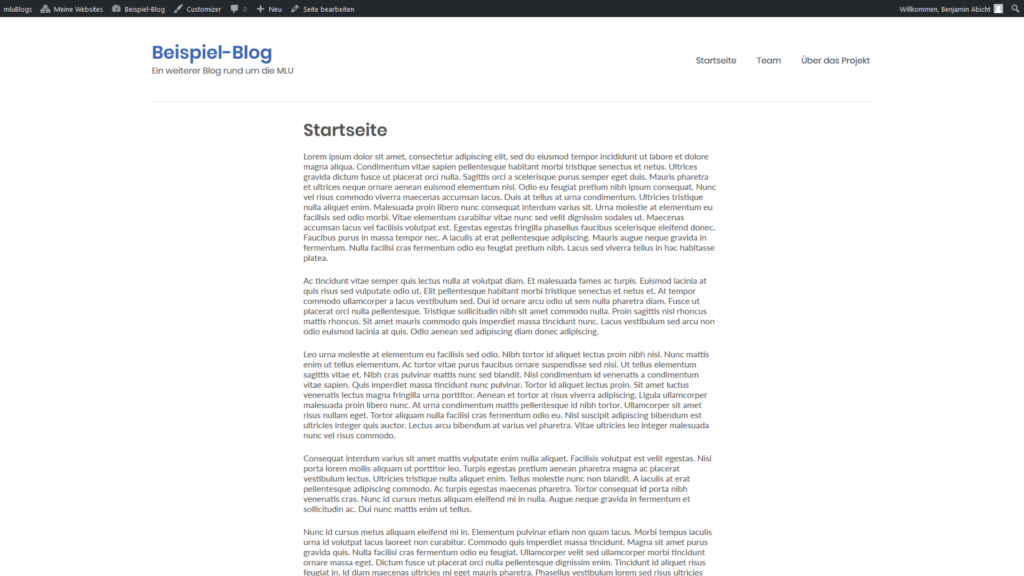 Bildschirmfoto des Frontends von WordPress mit einer exemplarischen Startseite und Blindtext